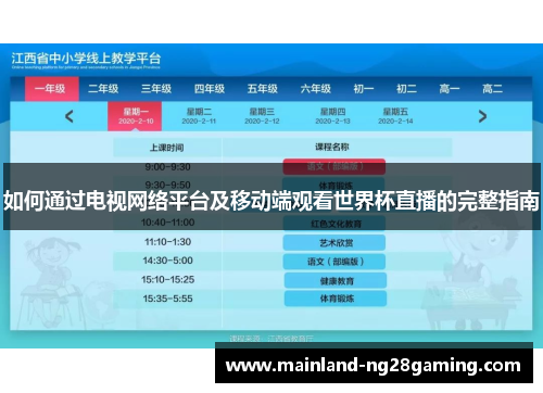 如何通过电视网络平台及移动端观看世界杯直播的完整指南