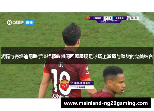 武磊与奇塔迪尼联手演绎精彩瞬间回顾展现足球场上激情与默契的完美结合