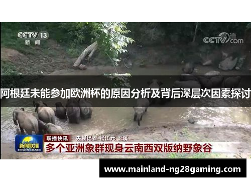 阿根廷未能参加欧洲杯的原因分析及背后深层次因素探讨