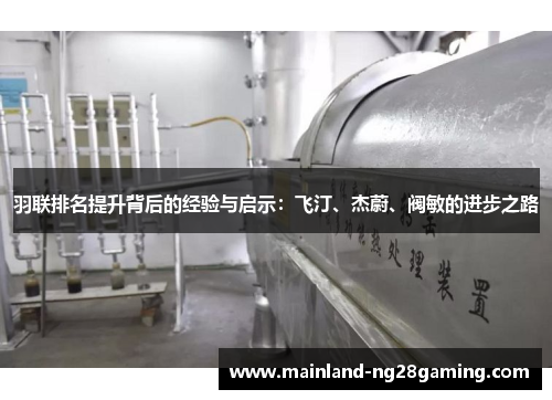 羽联排名提升背后的经验与启示：飞汀、杰蔚、阀敏的进步之路