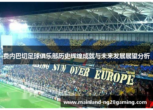 费内巴切足球俱乐部历史辉煌成就与未来发展展望分析