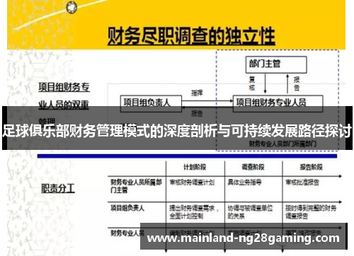 足球俱乐部财务管理模式的深度剖析与可持续发展路径探讨