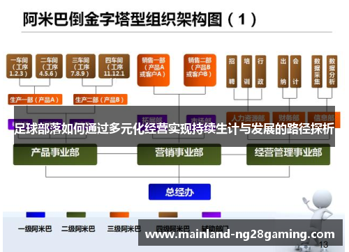 足球部落如何通过多元化经营实现持续生计与发展的路径探析