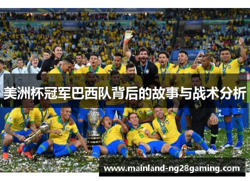 美洲杯冠军巴西队背后的故事与战术分析