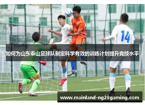 如何为山东泰山足球队制定科学有效的训练计划提升竞技水平