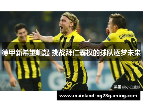 德甲新希望崛起 挑战拜仁霸权的球队逐梦未来